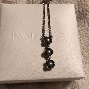 Pandora necklace